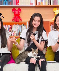 �Ƕ����������鶼������ʲô����