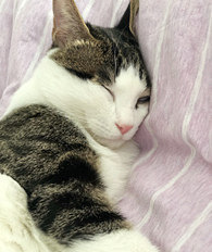 ������飬�о�����������