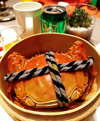 ˵ұ֥ʿ㲻㡾ںƵ͡