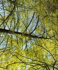 ���ɽ��ɽ��ƺ�ĸ������棿�ܱߴ򿨣�˵һ˵2019���ɽ��ɽ��ƺ