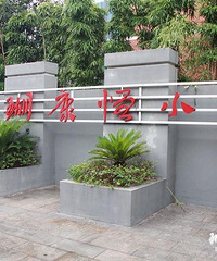 南岸区的小学盘点,招生范围,学校口碑,分部情况一网打尽
