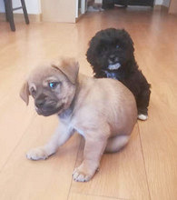 ���������һ�������ģ�