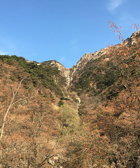 1.5小时爬上泰山,山顶竟然还有这样一条天街