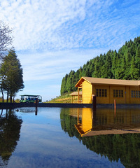 һֱ��Ϊ����û�����죬���λõ�ɭ�ֲ���