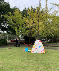 ץס���պ����⣬��ƺ����һ����