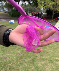 ץס���պ����⣬��ƺ����һ����