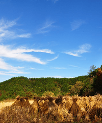 ����������ɽ���ݵ顢���䡢ɽȪ�����˲�����������ɫ