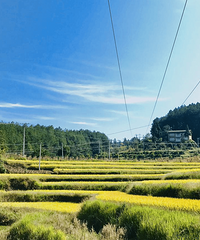 ����������ɽ���ݵ顢���䡢ɽȪ�����˲�����������ɫ