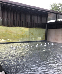 󵨴ִֿз磬³ƶ164ƽ