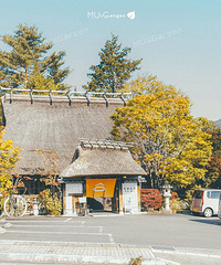 ���Թ���ĩ��ȥ��ʿɽ���˸���Ҷ