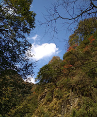 ������ȥ��ɽ�������ɪ��ȴ����һ������