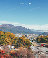 ���Թ���ĩ��ȥ��ʿɽ���˸���Ҷ