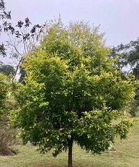 ��ĩȥ����幫԰��������԰�����ǹ��㣬�����Ӻ���Ҳ�ܸ�