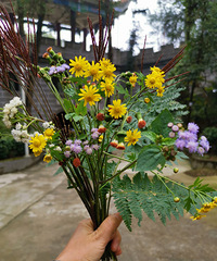 �ڽ���4A����20Ԫ��Ʊ����ҪǮ�Ĳ���ջ�����г�������