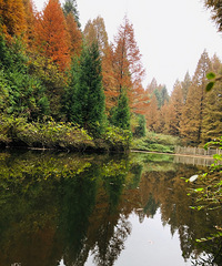 �ϴ�ɽ��ƺ������أ�������ʵ����һ��ʵ����