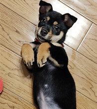 ��һ��Ǯ������ֻ��