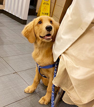 5���½�ë���������