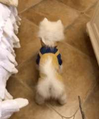 �����·���������·��