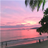 ȥ���׿���ɫ��ϼ