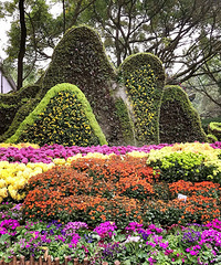 20������ζ��빫԰����԰�ľջ�������Ϥ���䷽��Сʱ���ζ��