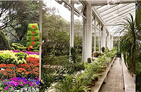 빫԰԰ľջϤ䷽Сʱζ