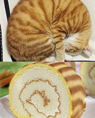 ���շ����ͣ���ȵ����