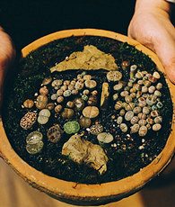 ��һ�����������ֲ��