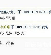登独是撒子意思?是好看还是块头大