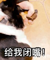 ס�죡�������ʲô