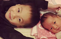 ��������ƾ���Ȧ����̥���ò��ʸ���