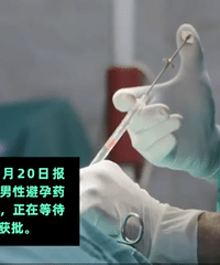 ȫ���׸����Ա������ͨ�����飬һ����Ч��13��