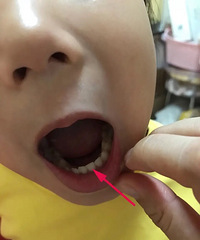 5ݣ᲻˵ӴҾöСѧŵѽ