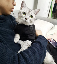 ���������ڱ����˳����