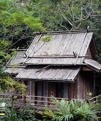 ˣںϡٴȥ߹ů·ߣһҪ˽⣡