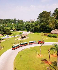 ϢӴ1.5¶ͯ泤¡ĸ԰