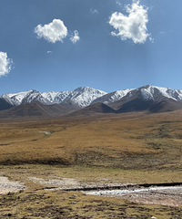 ����Ů���ӣ����ϰ���12���Լ���������