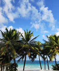 ��С���������ɱ���̲����ȫ�����й���