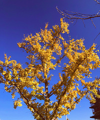 11�·ݵı������ó����ҵ�����