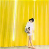 �������ո���ͣ������