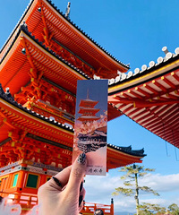 ����ȥ�ձ���һ����Ҳ������Щ����