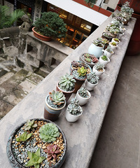 �ϱ�·������ի������������Ҳ���úã����ܲμӷ����