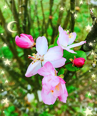 �����޵�Ů�ˣ�ע��Ҫ����һ�Ȼ���δ�����ڣ�