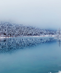 ���﹵�ı�ѩ����