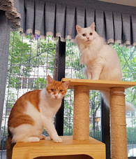 �����أ����پ�û�����