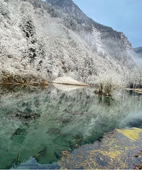 ���﹵��ѩ��