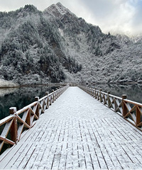 ���﹵��ѩ��