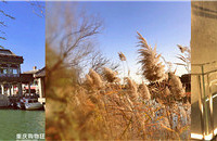 11·ݵıó󣬶ľƵùƽ