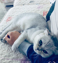 ���ɶ�أ���