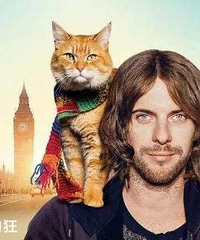 ������è����������ʵ������ϵ����