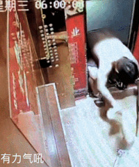 来说一说面对家暴应该怎么办吧